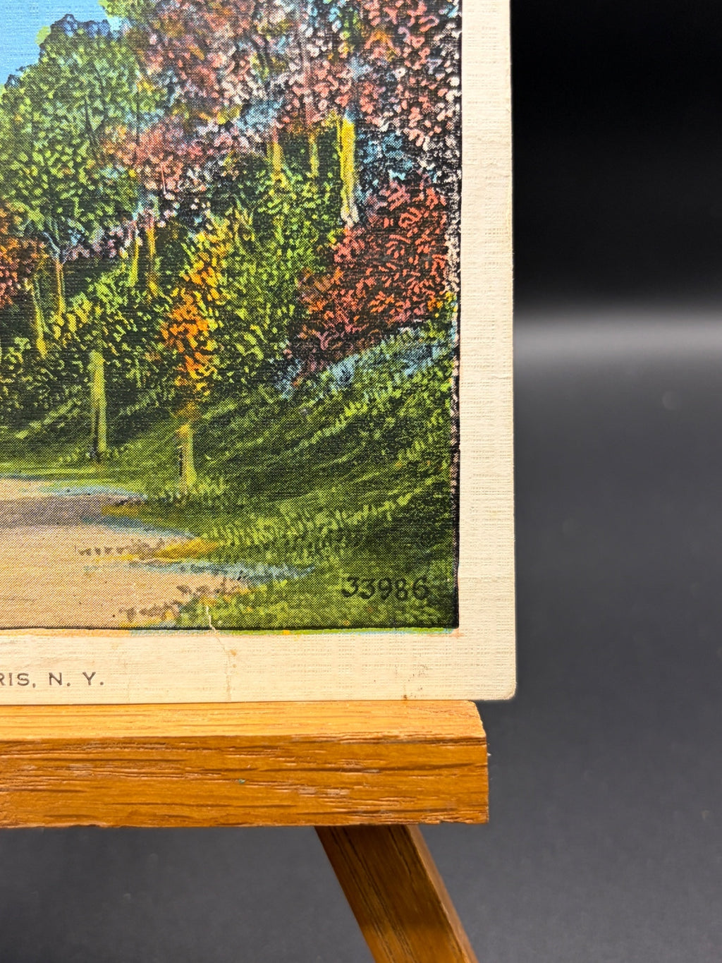 Vintage Postcard Scene Near Mount Morris, N.Y. with 1 Cent US Postage Stamp and