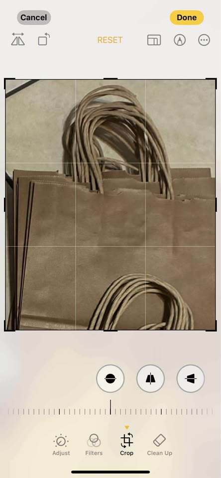 Paper Shopping Bags Bulk Lot – 180+ Heavyweight Retail & Holiday Bags – Unused